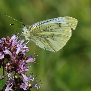 120811 unbenannt 295