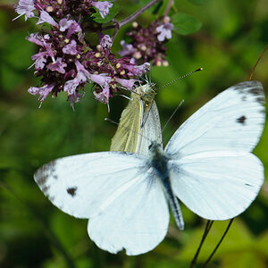 120811 unbenannt 318