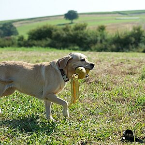 Fototreffen (3)