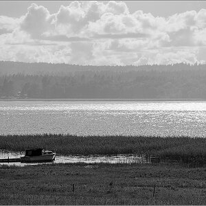 am see sw