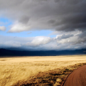Ngorongoro savanne 3