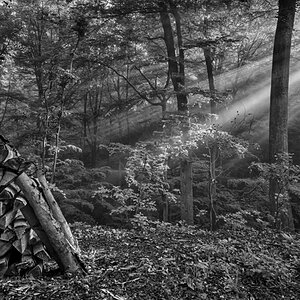 Nikon D800, Nikkor 16-35