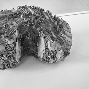 Exponat auf der dOCUMENTA (13)