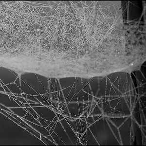 web bw DSCF0206