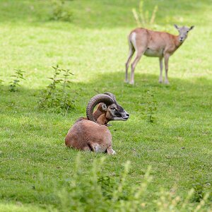 20120811 9316 [NIKON D4] 600 mm,1 400 Sek. bei ƒ   5,6 3