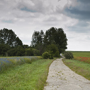 ruegen 03