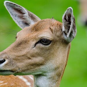 20120811 2235 [NIKON 1 V1] 600 mm,1 80 Sek. bei ƒ   6,3