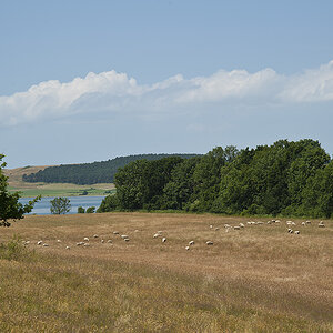 ruegen 09