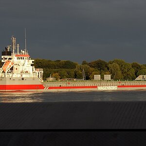 schiff JKK 6923