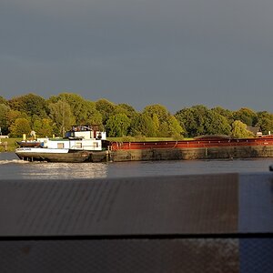 schiff2 JKK 6922