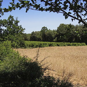 Sommer 2012 0123 low