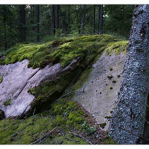 stein im wald3