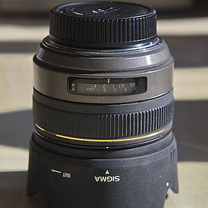 D3S0729