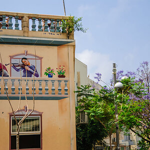 Tel Avis