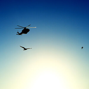 3 Flieger