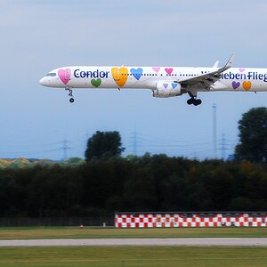 Wenn Fliegen fliegen!