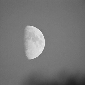 Mond