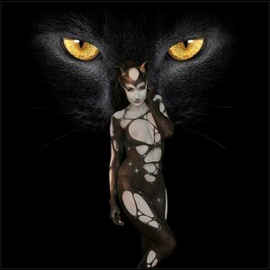 Cats
