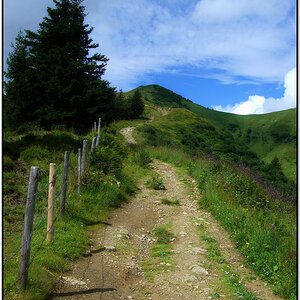 Was, da sollen wir jetzt rauf? - Ja! Gipfelwanderung auf 1787m zum Riedberger Horn.