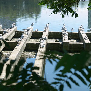 Wöhrdersee