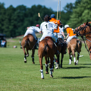 Poloturnier   Start Up Cup 2012  09. Juni 2012 0011