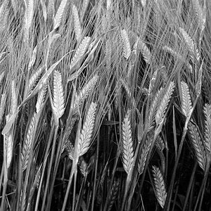 Screen Shot 2012 09 30 at 19.05