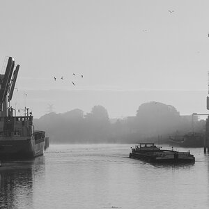 Hafen20121011