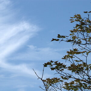 Blick aus dem Fenster