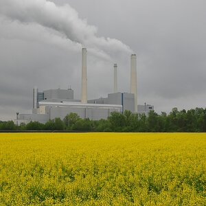 Yellow Strom!