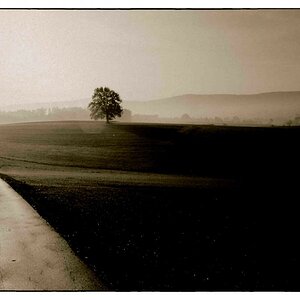 PICT0020