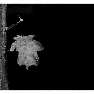 DSC1147 BW