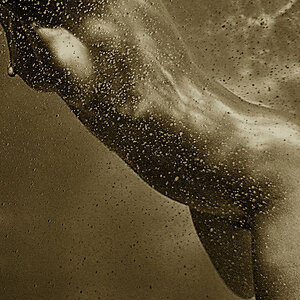 Pool bronze
