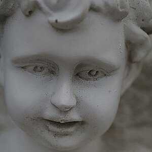 DSC 2080 s