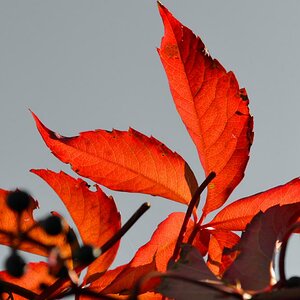 Herbst 2011