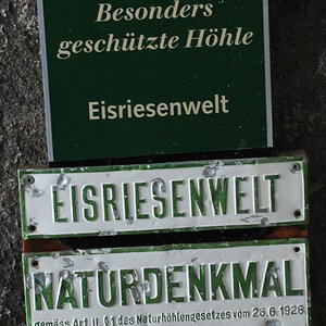 DSC 3988 b Bildgröße ändern