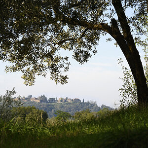 Blick auf Rapale 2012