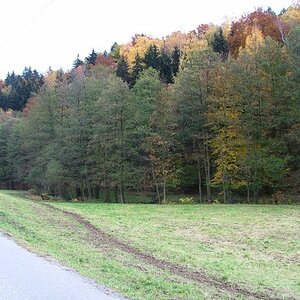 Indiansummer im Erzgebirge