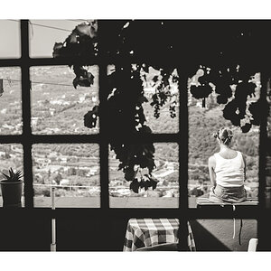 Fenster_2