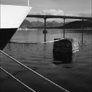 L1001451