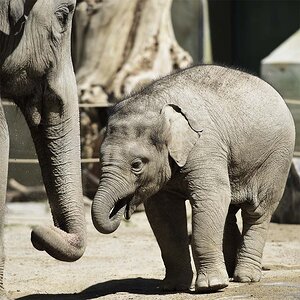 zoo