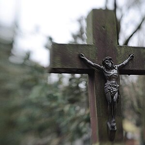 2009 01 23 Lensbabys auffem Friedhof D7C 3072