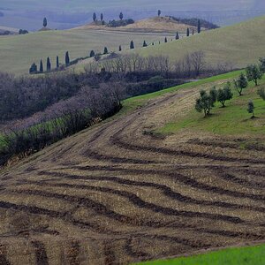 Crete Senesi #32