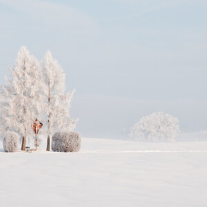 Winter Etterschlag