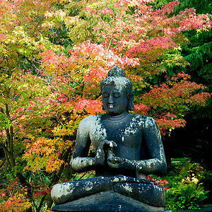 Buddha