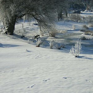 DSCN0252