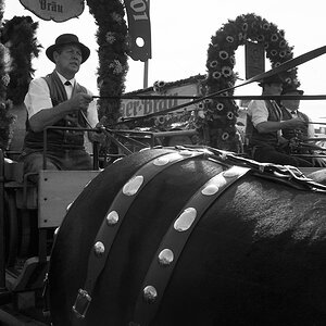 Oktoberfest 2012 1013317