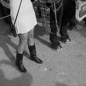 Oktoberfest 2012 1013320