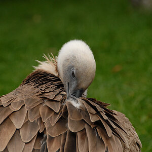 Zoo Duisburg