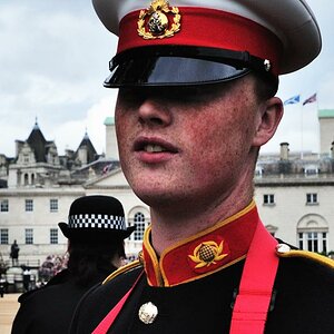 horse guard