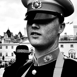 horse guard SW